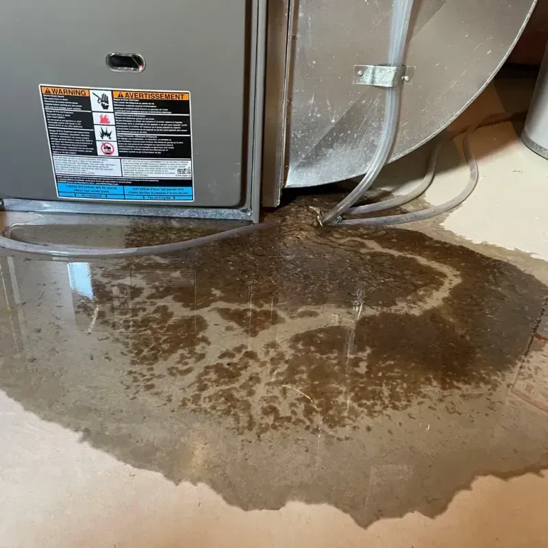 Appliance Leak Cleanup in Ray County, MO